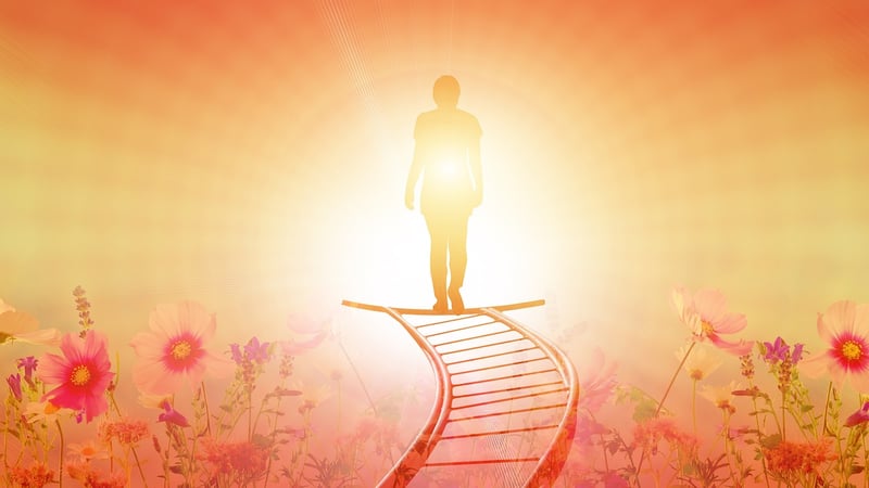 Transitioning Careers
